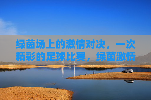 绿茵场上的激情对决，一次精彩的足球比赛，绿茵激情，一场酣畅淋漓的足球对决