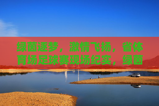 绿茵逐梦,激情飞扬,省体育场足球赛现场纪实,绿茵逐梦,激情飞扬,省体育场足球赛现场纪实