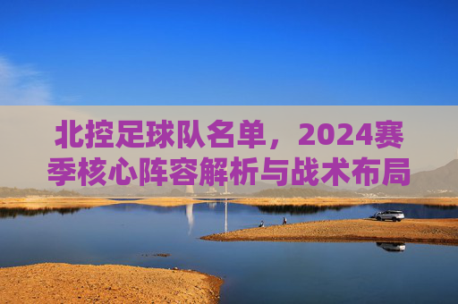 北控足球队名单，2024赛季核心阵容解析与战术布局展望