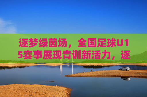 逐梦绿茵场,全国足球U15赛事展现青训新活力,逐梦绿茵场,全国足球U15赛事展现青训新活力