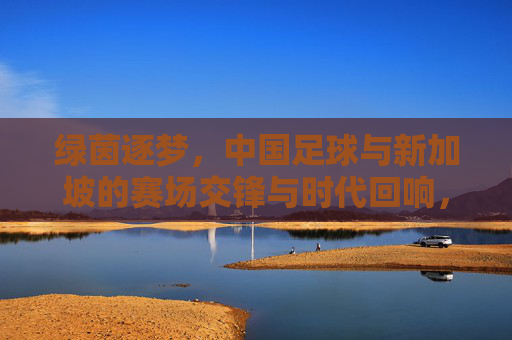 绿茵逐梦,中国足球与新加坡的赛场交锋与时代回响,绿茵逐梦,中国足球与新加坡的赛场交锋与时代回响