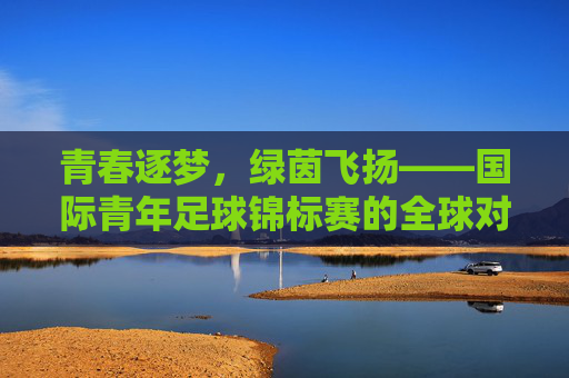 青春逐梦,绿茵飞扬——国际青年足球锦标赛的全球对话与活力绽放