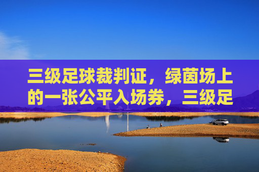 三级足球裁判证,绿茵场上的一张公平入场券,三级足球裁判证,绿茵场上守护公平的入场券