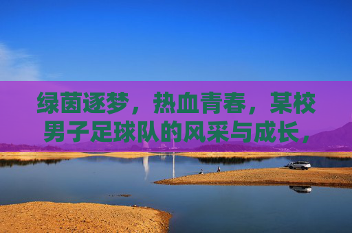 绿茵逐梦，热血青春，某校男子足球队的风采与成长，绿茵逐梦，热血青春，某校男子足球队的风采与成长