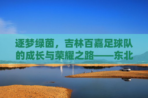 逐梦绿茵,吉林百嘉足球队的成长与荣耀之路——东北足球的璀璨星火,逐梦绿茵,吉林百嘉足球队的成长与荣耀之路——东北足球的璀璨星火