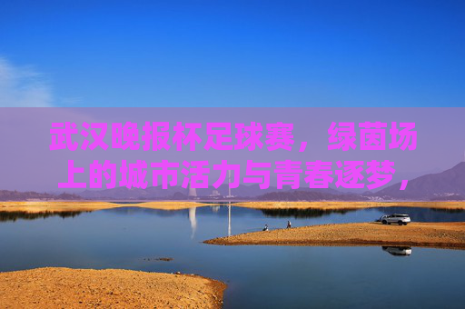 武汉晚报杯足球赛，绿茵场上的城市活力与青春逐梦，武汉晚报杯足球赛，绿茵场上的城市活力与青春逐梦