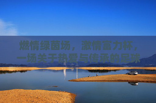 燃情绿茵场，激情富力杯，一场关于热爱与传承的足球盛宴，燃情绿茵场，激情富力杯，一场关于热爱与传承的足球盛宴