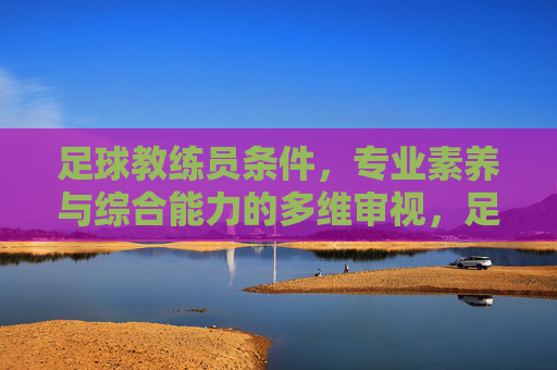 足球教练员条件,专业素养与综合能力的多维审视,足球教练员条件,专业素养与综合能力的多维审视
