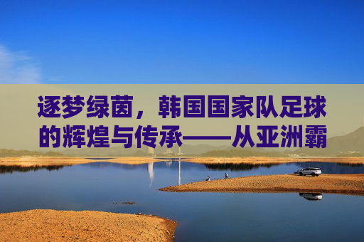 逐梦绿茵,韩国国家队足球的辉煌与传承——从亚洲霸主到世界强队的不懈追求,逐梦绿茵,韩国国家队足球的辉煌与传承——从亚洲霸主到世界强队的不懈追求