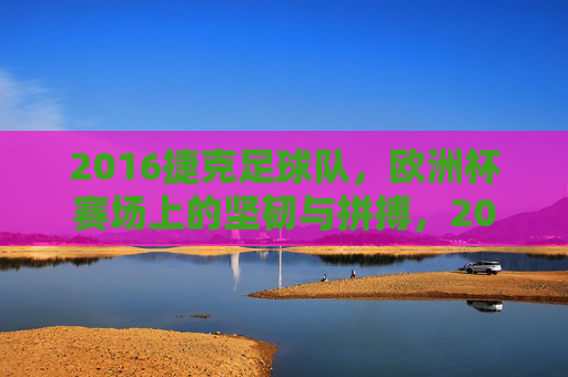 2016捷克足球队,欧洲杯赛场上的坚韧与拼搏,2016捷克足球队,欧洲杯赛场上的坚韧与拼搏