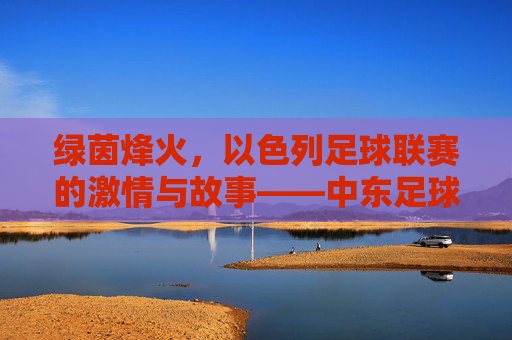 绿茵烽火,以色列足球联赛的激情与故事——中东足球热土的竞技传奇
