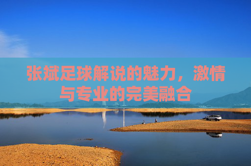 张斌足球解说的魅力,激情与专业的完美融合