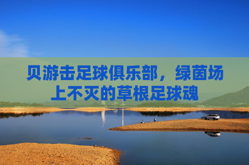 贝游击足球俱乐部,绿茵场上不灭的草根足球魂