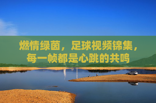 燃情绿茵,足球视频锦集,每一帧都是心跳的共鸣