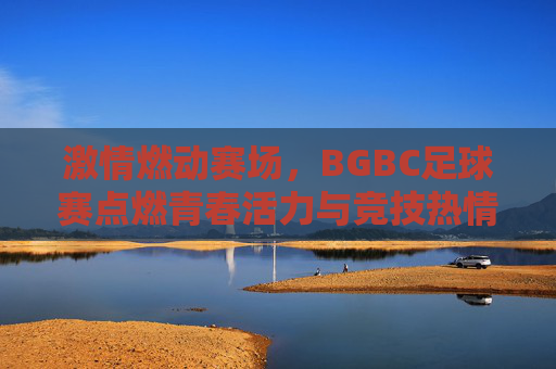 激情燃动赛场,BGBC足球赛点燃青春活力与竞技热情,激情燃动赛场,BGBC足球赛点燃青春活力与竞技热情
