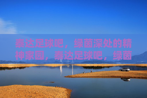 泰达足球吧，绿茵深处的精神家园，泰达足球吧，绿茵深处的精神家园