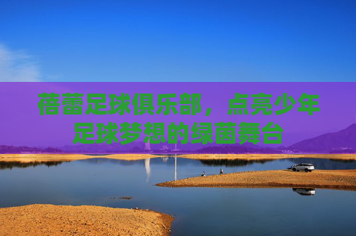 蓓蕾足球俱乐部,点亮少年足球梦想的绿茵舞台