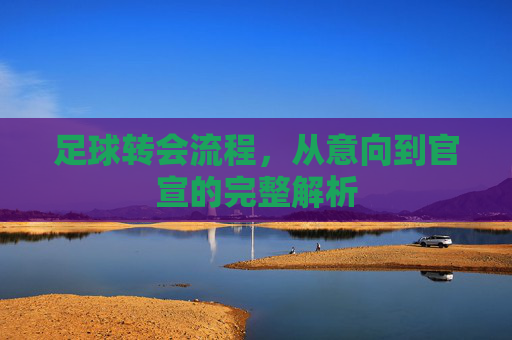 足球转会流程，从意向到官宣的完整解析