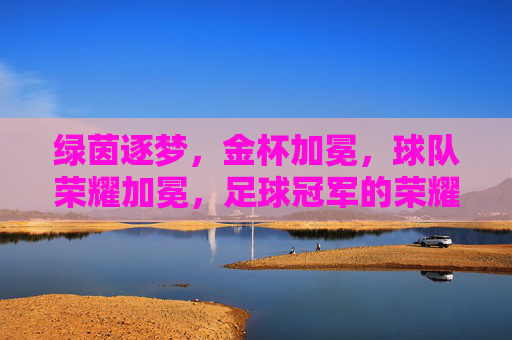 绿茵逐梦,金杯加冕,球队荣耀加冕,足球冠军的荣耀征程