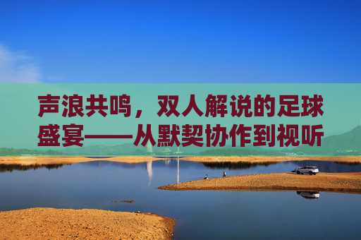 声浪共鸣,双人解说的足球盛宴——从默契协作到视听沉浸,声浪共鸣,双人解说的足球盛宴——从默契协作到视听沉浸