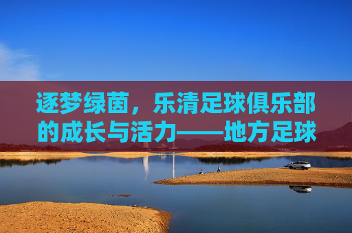逐梦绿茵,乐清足球俱乐部的成长与活力——地方足球力量的崛起样本