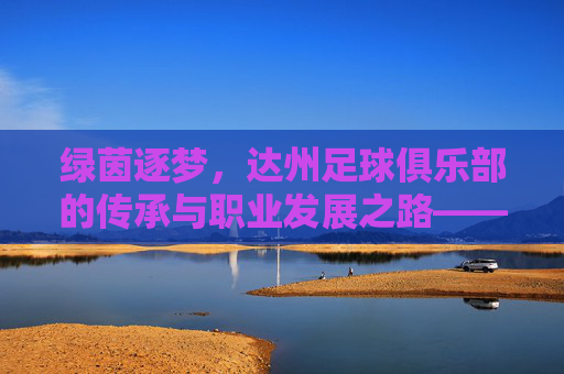 绿茵逐梦，达州足球俱乐部的传承与职业发展之路——从地方足球热土到职业联赛的跨越