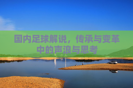 国内足球解说,传承与变革中的声浪与思考