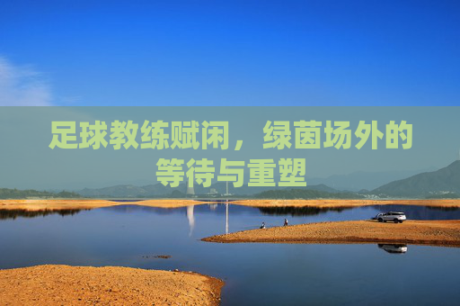 足球教练赋闲,绿茵场外的等待与重塑