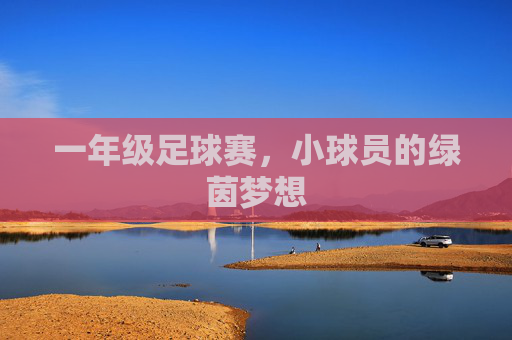 一年级足球赛，小球员的绿茵梦想