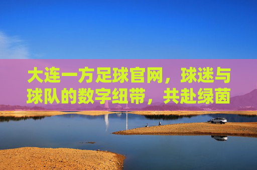 大连一方足球官网,球迷与球队的数字纽带,共赴绿茵场上的每一次心跳