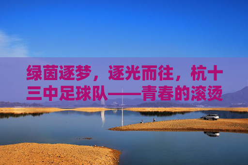 绿茵逐梦，逐光而往，杭十三中足球队——青春的滚烫篇章，足球的燃情印记，绿茵逐梦，逐光而往，杭十三中足球队——青春的滚烫篇章，足球的燃情印记