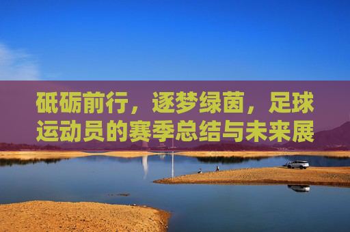 砥砺前行，逐梦绿茵，足球运动员的赛季总结与未来展望
