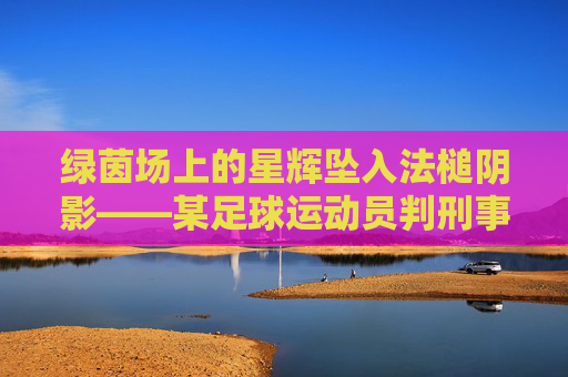 绿茵场上的星辉坠入法槌阴影——某足球运动员判刑事件引发的思考