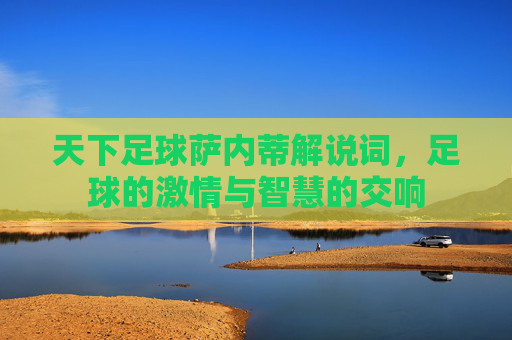 天下足球萨内蒂解说词,足球的激情与智慧的交响