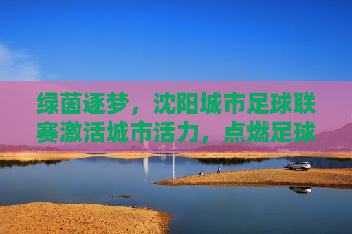 绿茵逐梦，沈阳城市足球联赛激活城市活力，点燃足球激情