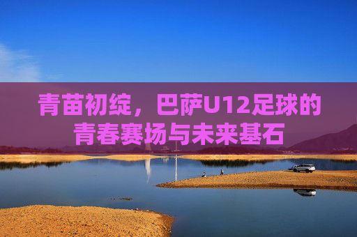 青苗初绽,巴萨U12足球的青春赛场与未来基石