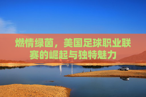 燃情绿茵,美国足球职业联赛的崛起与独特魅力