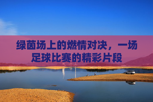 绿茵场上的燃情对决,一场足球比赛的精彩片段
