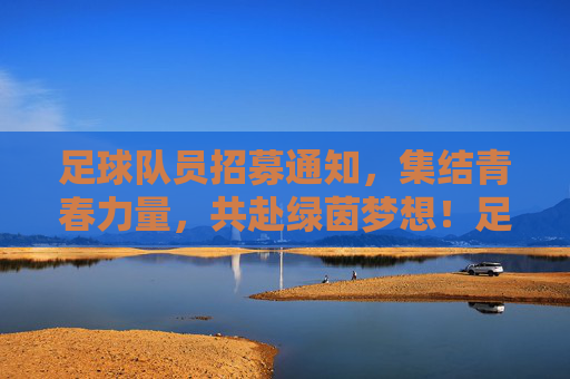 足球队员招募通知，集结青春力量，共赴绿茵梦想！足球队员招募通知，集结青春力量，共赴绿茵梦想！
