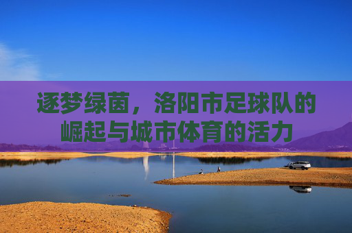逐梦绿茵，洛阳市足球队的崛起与城市体育的活力