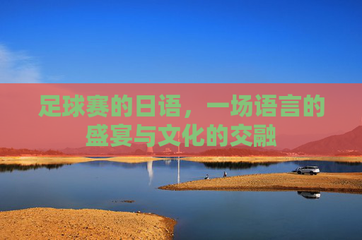 足球赛的日语,一场语言的盛宴与文化的交融