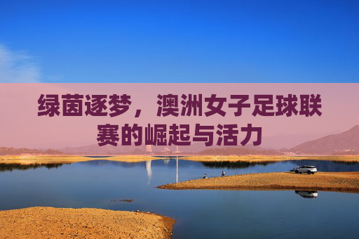 绿茵逐梦,澳洲女子足球联赛的崛起与活力