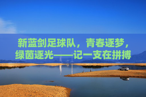 新蓝剑足球队,青春逐梦,绿茵逐光——记一支在拼搏中绽放的年轻队伍