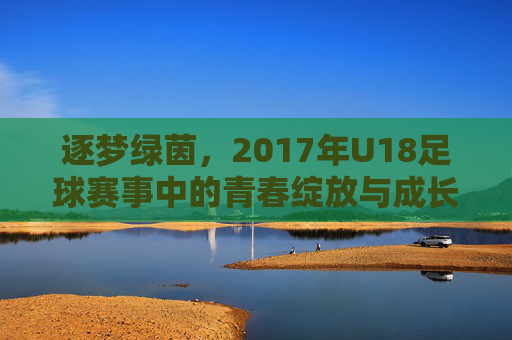 逐梦绿茵，2017年U18足球赛事中的青春绽放与成长印记，逐梦绿茵，2017年U18足球赛事中的青春绽放与成长印记