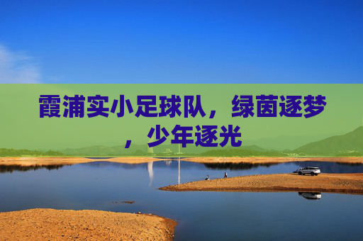 霞浦实小足球队,绿茵逐梦,少年逐光