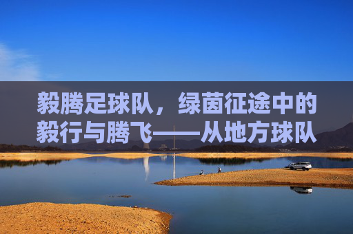 毅腾足球队，绿茵征途中的毅行与腾飞——从地方球队到足球精神的象征，毅腾足球队，绿茵征途中的毅行与腾飞——从地方球队到足球精神的象征