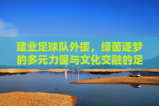 建业足球队外援，绿茵逐梦的多元力量与文化交融的足球印记，建业足球队外援，绿茵逐梦的多元力量与文化交融的足球印记