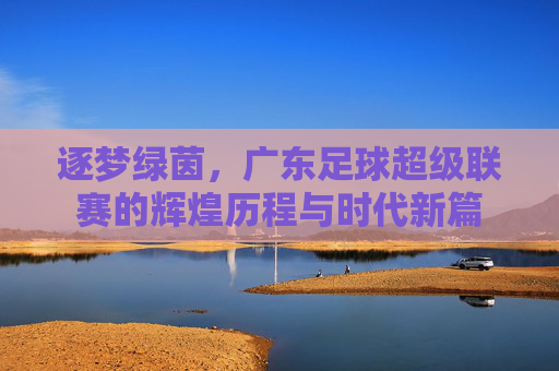 逐梦绿茵，广东足球超级联赛的辉煌历程与时代新篇