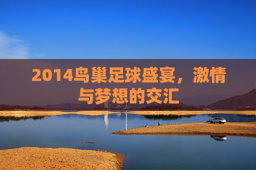 2014鸟巢足球盛宴,激情与梦想的交汇
