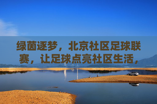 绿茵逐梦,北京社区足球联赛,让足球点亮社区生活,绿茵逐梦,北京社区足球联赛,让足球点亮社区生活